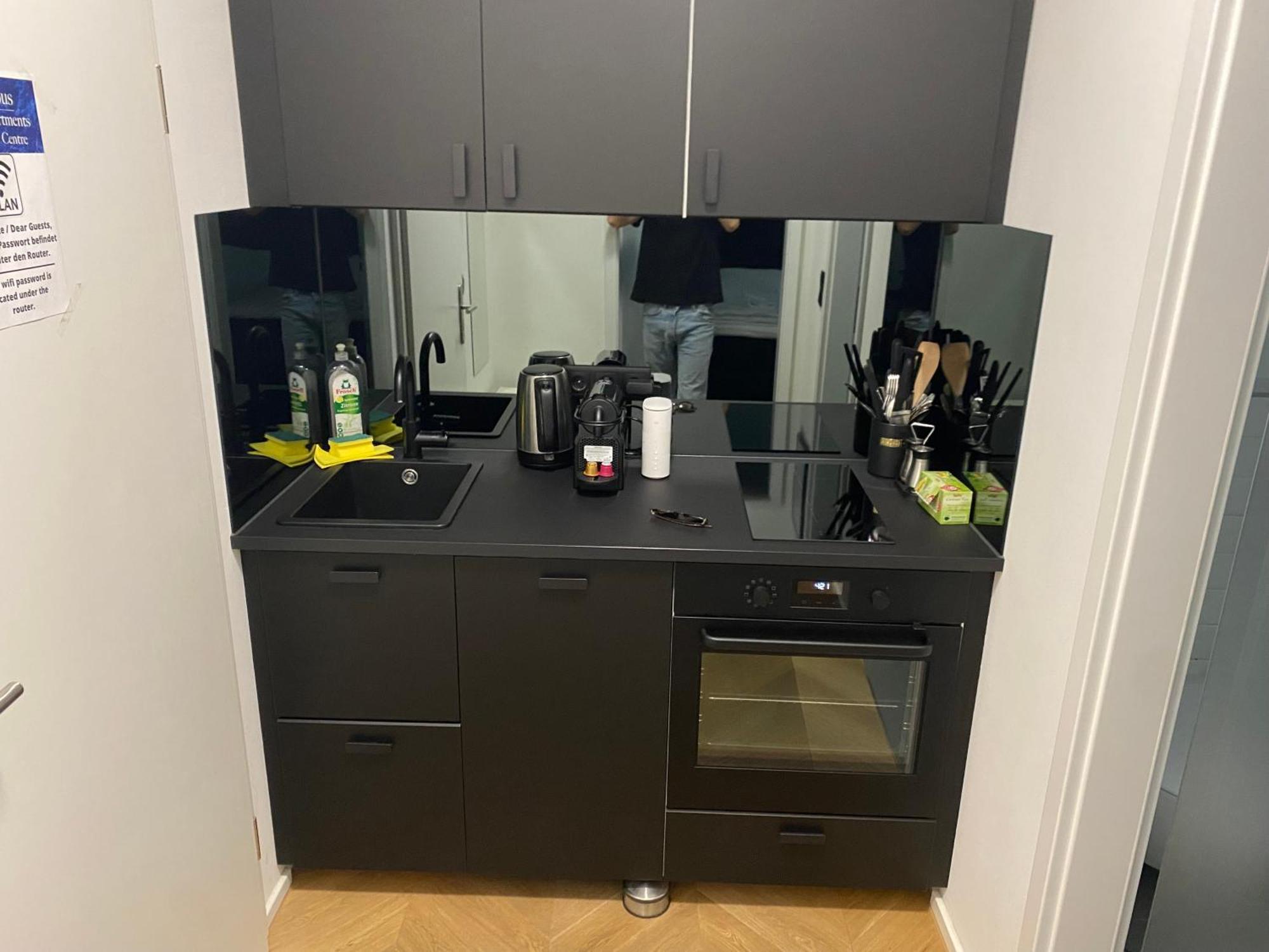 Luxurious Apartment In The Centre Of 비엔나 객실 사진